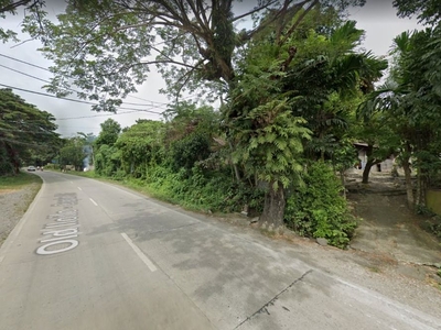 Lot for Sale Along a National Higway in Janiuay