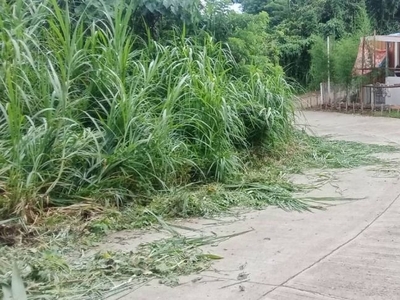 Lot for Sale along Cemented road Indang Cavite on Carousell