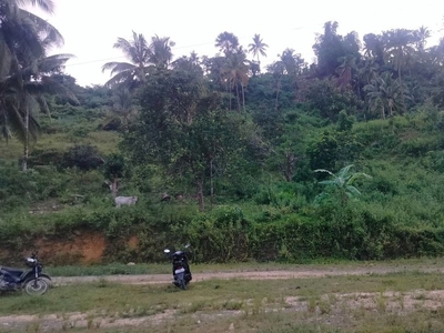 Lot for sale at Osmena Highway Toledo City