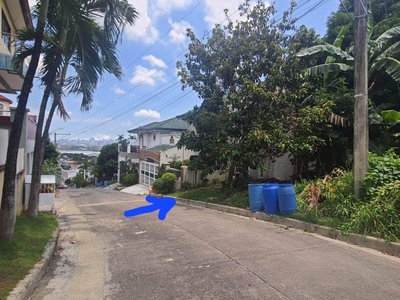 Lot for sale flood free taytay rizal on Carousell