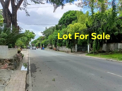Lot for Sale in BF Homes Parañaque on Carousell