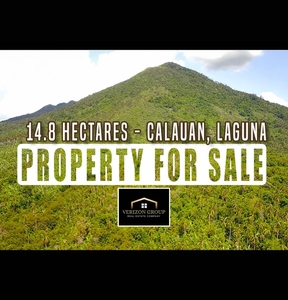LOT FOR SALE IN CALAUAN LAGUNA 14.8 HECTARES on Carousell