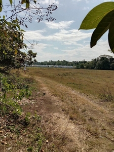 Lot for sale in Catmon