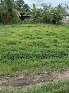 Lot for sale in Crossing Pilar Bohol on Carousell