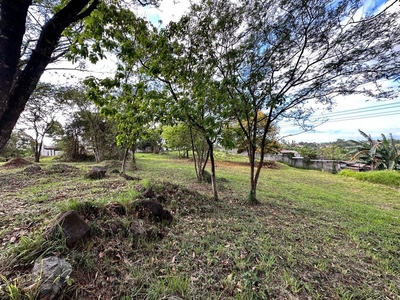 Lot for sale in Forest Farms Havila Angono Rizal on Carousell