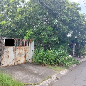 Lot For Sale In Fortunata Village Paranaque on Carousell