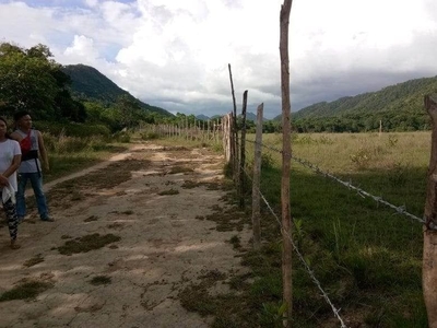 LOT FOR SALE in palawan on Carousell