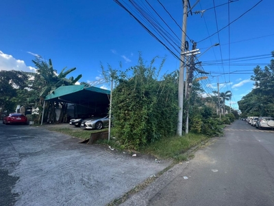 LOT FOR SALE IN ROLLING HILLS NEW MANILA on Carousell
