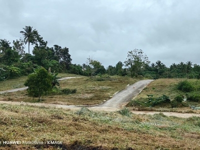 Lot For Sale In Silang on Carousell