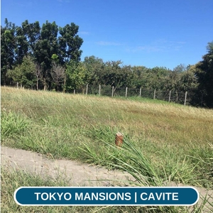 LOT FOR SALE IN SOUTH FORBES TOKYO MANSIONS SILANG CAVITE on Carousell