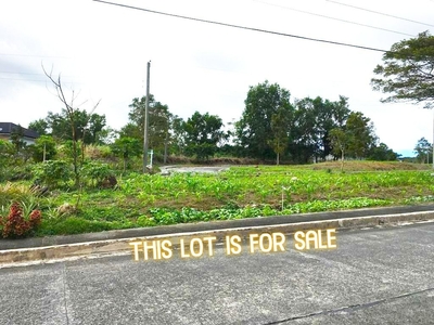 LOT FOR SALE IN TAGAYTAY CITY on Carousell