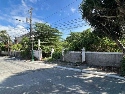 Lot for Sale UPS5 Paranaque City (United Paranaque Subdivision) on Carousell