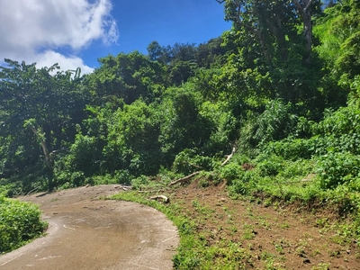 Lot with perfect Overlooking and Mountain view for sale on Carousell