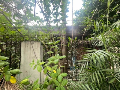 OLD BUNGALOW HOUSE AND LOT FOR SALE IN BGRY. PINYAHAN QUEZON CITY 573SQM on Carousell