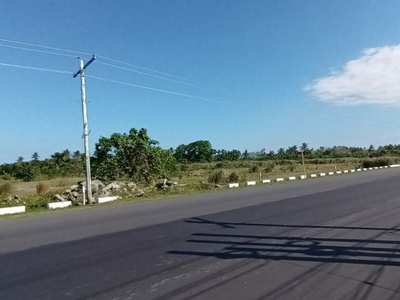 Oriental Mindoro National Highway 12 Hectares For Sale on Carousell