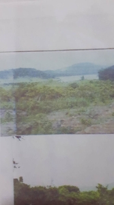 Palawan Lot For Sale (Beach Front) on Carousell