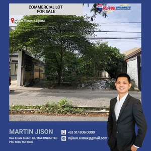 PDM049 - Silcas Binan Laguna Commercial Lot For Sale on Carousell