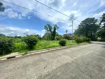 Ponderosa Silang Cavite Lot for Sale on Carousell