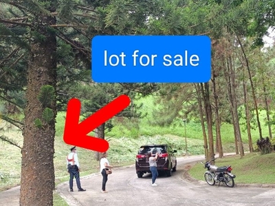 ❗PREMIERE LOT FOR SALE in Crosswind Tagaytay on Carousell