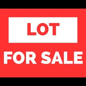 Prime Commercial Lot for Sale in Paranaque on Carousell