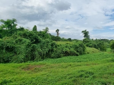 Property Lot in Bulacan For Sale on Carousell