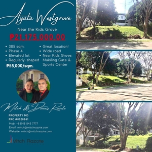 Rare Small Elevated Lot For Sale at Ayala Westgrove Heights Near the Kids Grove on Carousell
