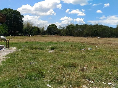 Residential Lot for Sale at Tejero Gen Trias City Cavite near Commercial Areas on Carousell