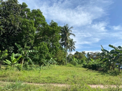 Residential titled lot for sale on Carousell