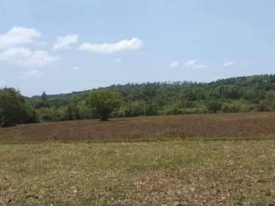 RUSH SALE! Agricultural Lot for Sale in Tanay Rizal 162