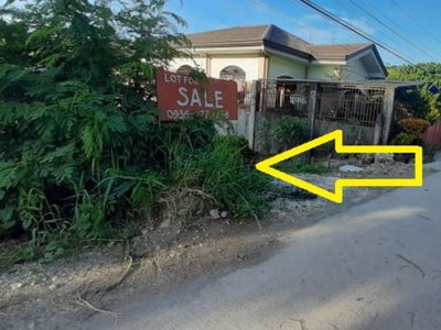 Rush Sale Semi Commercial Lot (316sqm) on Carousell