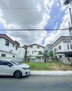 Secured Village in Cainta Rizal Lot for Sale on Carousell