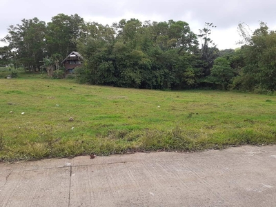 Tagaytay lot for sale along barangay road 1237 sqrm on Carousell