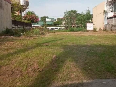 UNITED PARANAQUE 2 LOT FOR SALE on Carousell