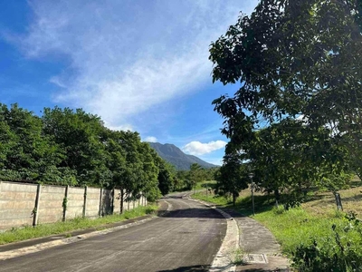 Vacant Lot for Sale at Ayala Greenfield Estates