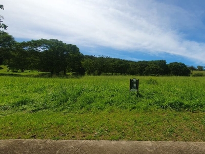 Vacant Lot in Ayala Greenfield Estate