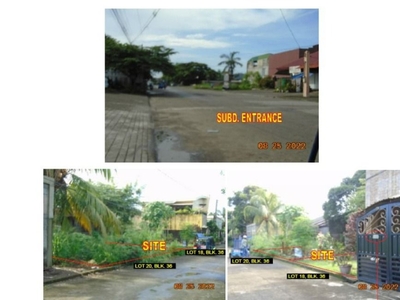Vacant lots for Sale in Catalina Subdivision Bago Negros Occidental on Carousell