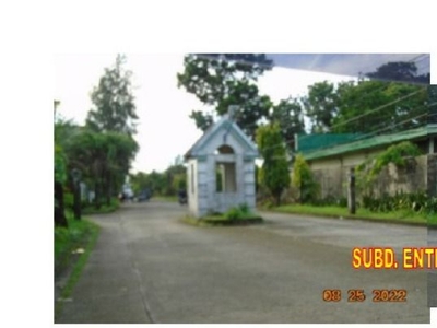 Vacant lots for Sale in San Esteban Subdivision Bago Negros Occidental on Carousell