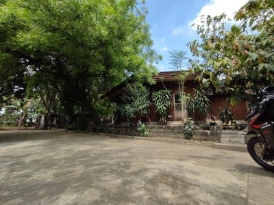 VERY SPACIOUS LOT FOR SALE IN PARAÑAQUE on Carousell