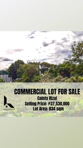 YS Commercial Lot for Sale in Cainta