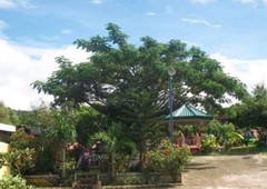 41,376 Sqm Over Looking Rest House Farm In Cabangan Zambales