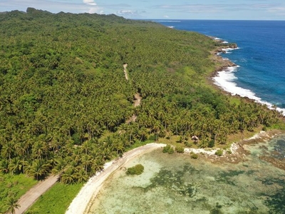 Siargao Bay-Bay Beach Lot for Sale in San Isidro, Burgos, Surigao del Norte