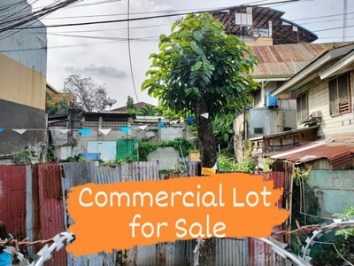 Lot For Sale In Sambag I, Cebu