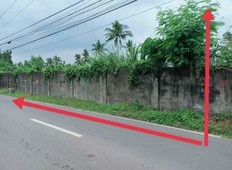 Lot for sale at lipa city batangas (agricultural land)