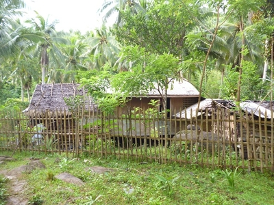 90000 sqm Land with Piggery house,Coconut trees,electric and free water,TAGUAN-MISONG,POLA,ORIENTAL MINDOROClean Title