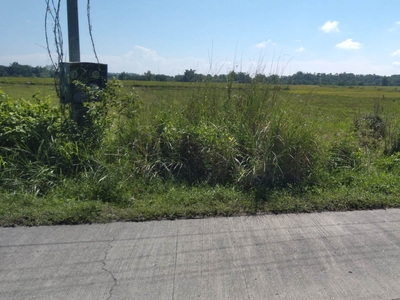 AGRICULTURE/COMMERCIAL LOT