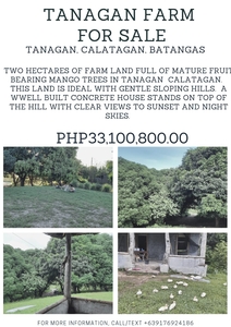 Mango Orchard For Sale