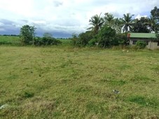 Farm Lot For sale in Ibaan Batangas