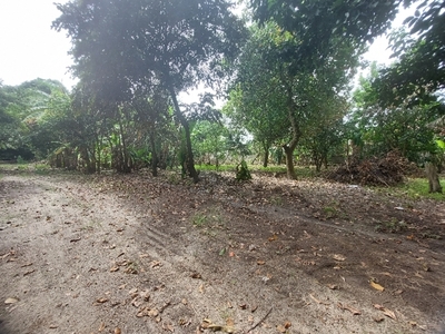 Lot For Sale In Camuning, Mexico