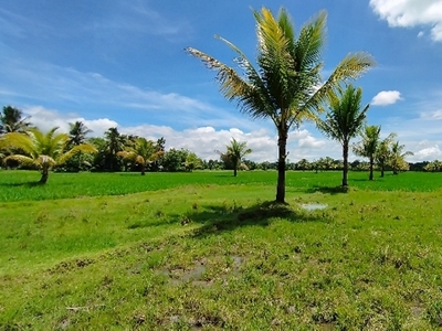 Lot For Sale In Tacurong, Sultan Kudarat