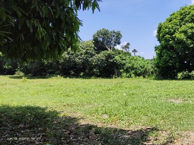 Residential Lot for Sale in Amadeo, Cavite along Amadeo By-Pass Road